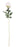 Arundel Rose Stem x 55cm - Cream
