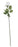 Arundel Rose Stem x 55cm - White