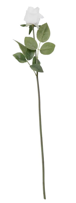 Arundel Rose Stem x 55cm - White