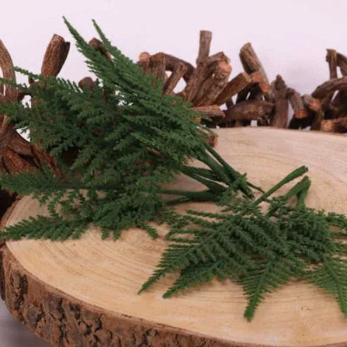 Asparagus Fern - 12 Short Stems Per Bag