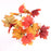 Autumn Maple Bush x 35cm