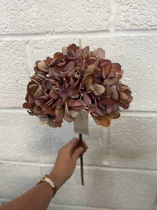 50cm hydrangea stem vintage autumn brown