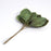 12 bunches of 12 Velvet Green Roses Leaves 27mm