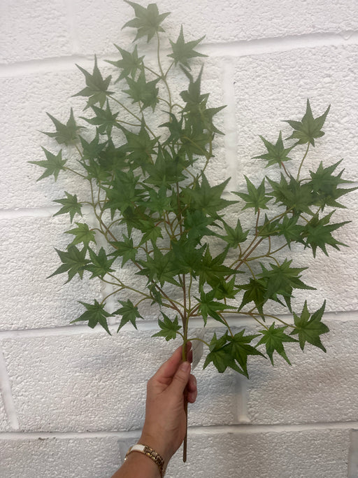 66cm Green acer branch