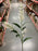 White blossom stem