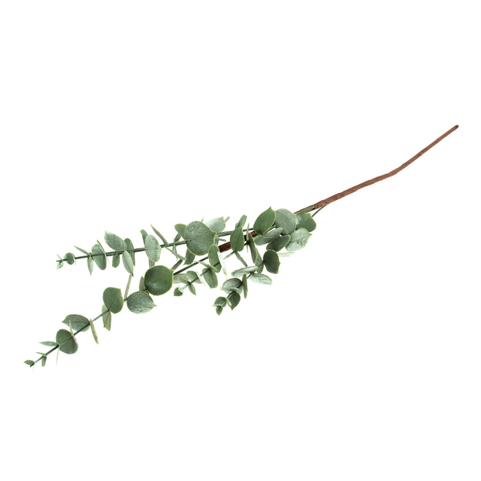 60cm Frosted Eucalyptus Stem