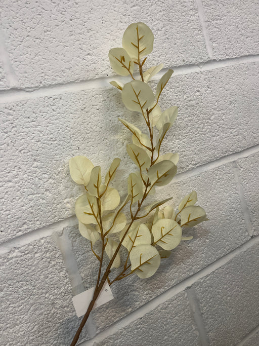 80cm cream eucalyptus branch stem