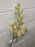 80cm cream eucalyptus branch stem