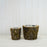 Set of Two Mossed Bark Lined Wooden Pots - 20cm & 13cm
