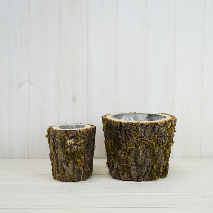 Set of Two Mossed Bark Lined Wooden Pots - 20cm & 13cm