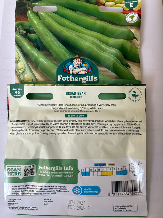 BROAD BEAN Seeds Aguadulce