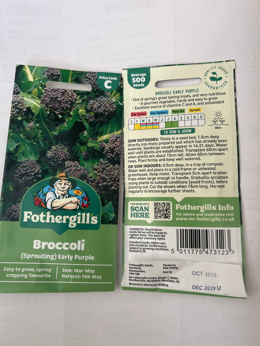 BROCCOLI (Sprouting) Early Purple Seeds