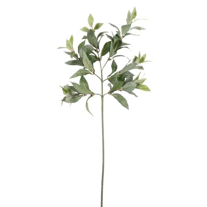 Bay Leaf Spray x 70cm