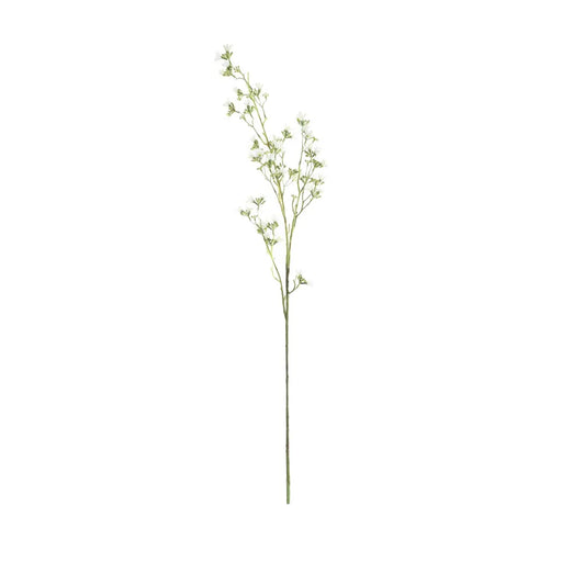 Blossom Spray - White