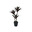 Botanica Yucca Tree in pot - 63cm tall