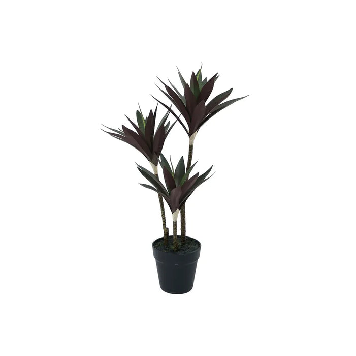 Botanica Yucca Tree in pot - 63cm tall