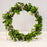 Boxwood Leaf Wreath in a Natural Green with White Berries x 32cm