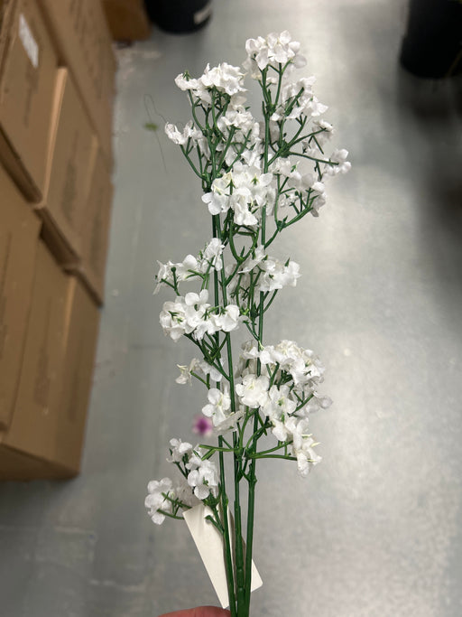 White Gyp Spray