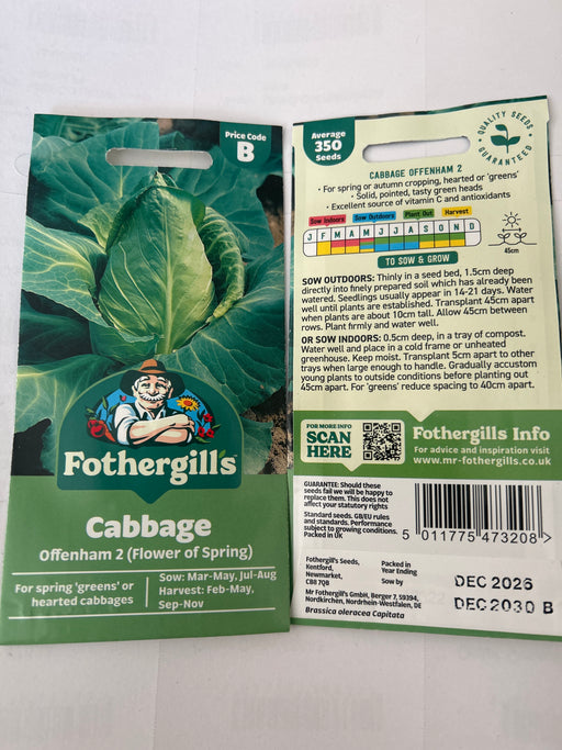 CABBAGE Offenham Flower of Spring
