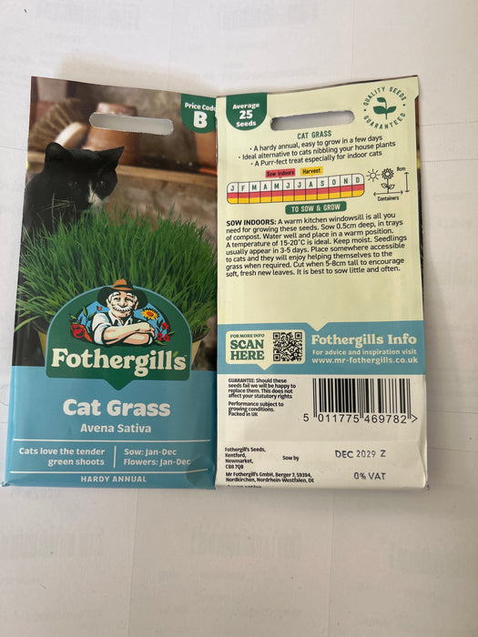CAT GRASS Avena Sativa Seeds