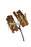 Cinnamon on Wire - Natural (20cm long with 6 cinnamon)