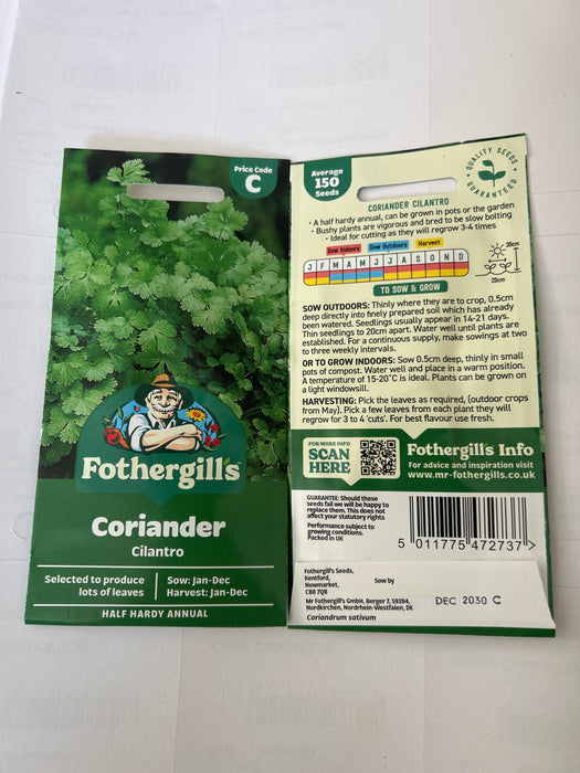 CORIANDER Cilantro Seeds