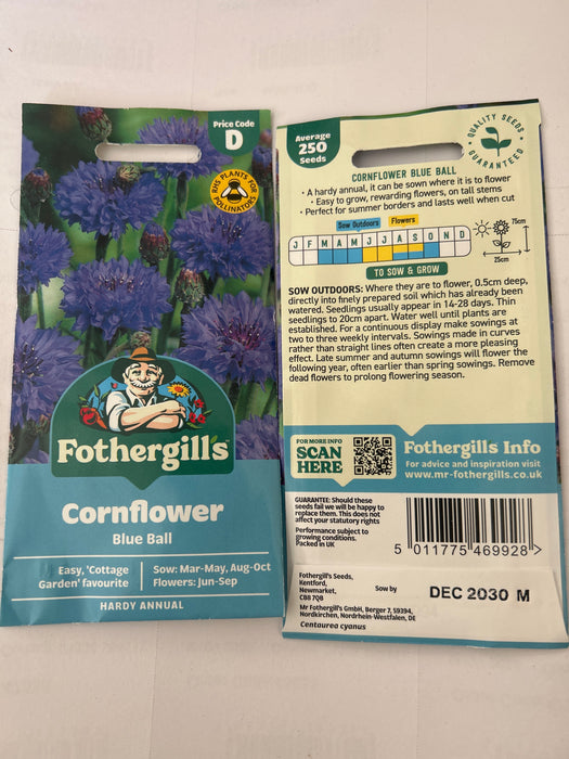 Lavender MunsteCORNFLOWER Blue Ball Seedsad Seeds
