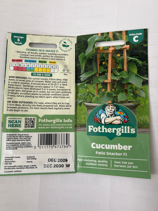 CUCUMBER Seeds Patio Snacker F