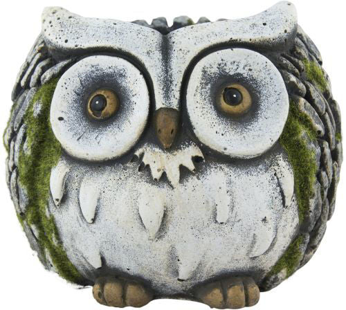Cement Planter - White Faced Barn Owl x L15cm