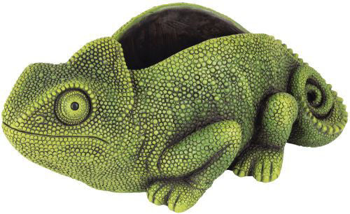 Chameleon Cement Planter - Length 33cm