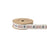 Christmas Printed Ribbon - 25mm x 10m - Seasonal Greetings