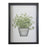 Coriander Wall Art - 26 x 36cm