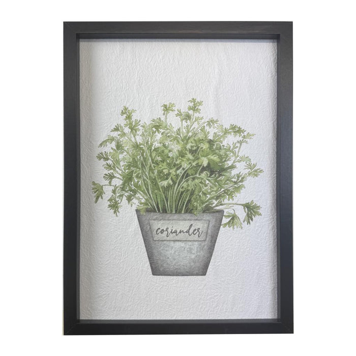 Coriander Wall Art - 26 x 36cm