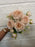 30cm peach mini peony bush