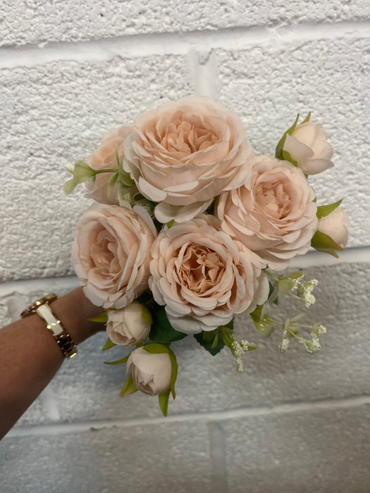 30cm peach mini peony bush