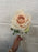 43cm Single stem diamond rose peach