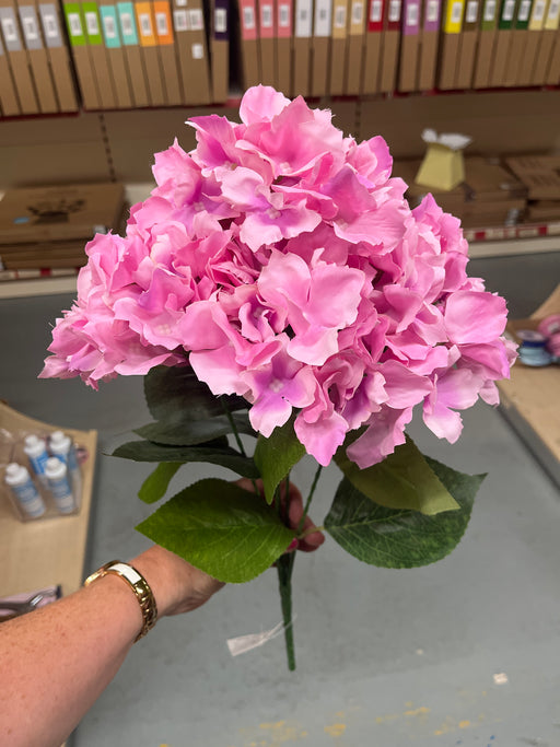 Pink hydrangea bush