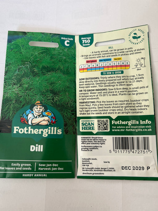 DILL Seeds