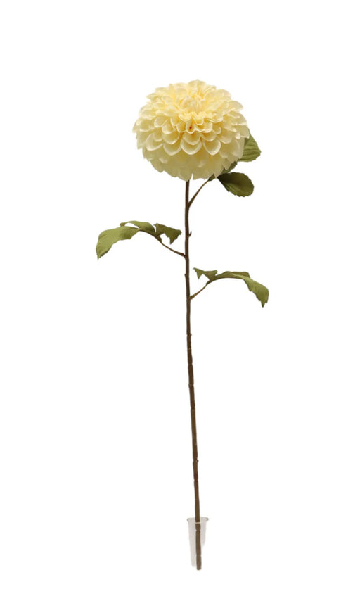 Dahlia Stem - Cream  (74cm long, 14cm diameter)