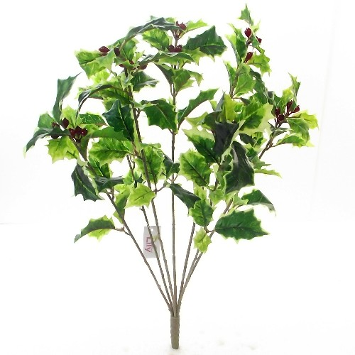 40cm Variegated Holly & Berry Bush