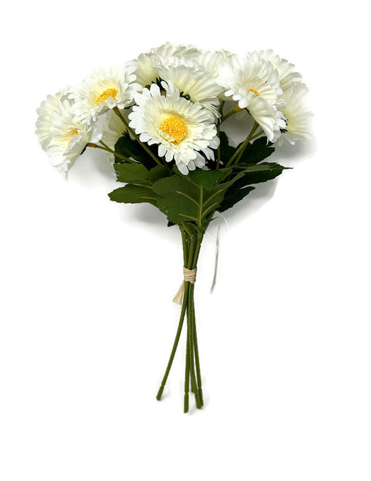 Daisy Bundle x 30cm Cream