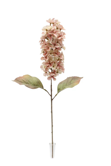 Dry Look Panicled Hydrangea Stem - 68cm long - Light Pink