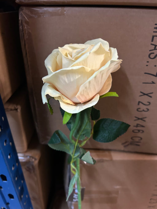 Single Stem Velvet Touch Rose x 50cm - Pale Yellow