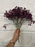 37cm burgundy gypsophila bush