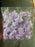 9mm Polka Dot Bows x 100 - Lilac