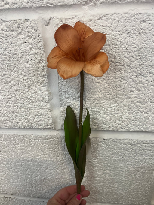 50cm amaryllis lily autumn orange