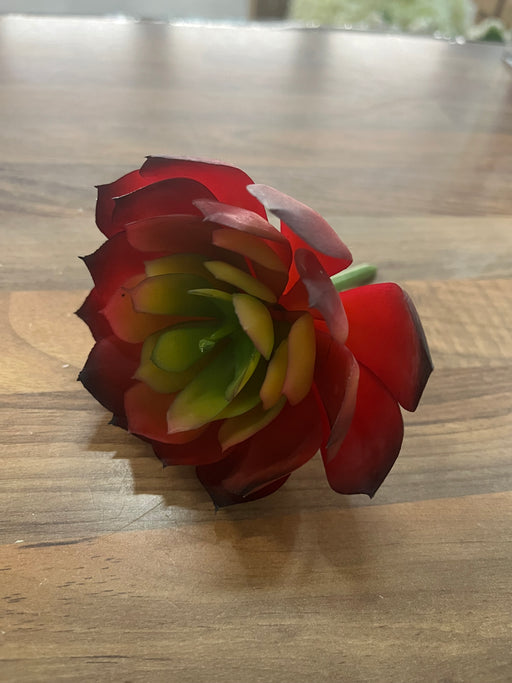 12cm Length Red Succulent
