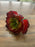 12cm Length Red Succulent