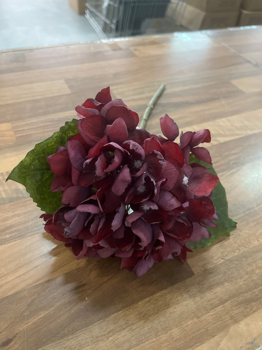 Burgundy hydrangea 32cm