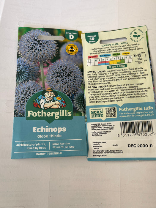 ECHINOPS Globe Thistle Seeds